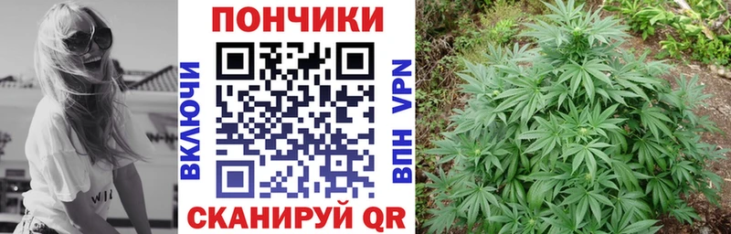 Названия наркотиков Лысьва ГАШ  Галлюциногенные грибы  ГЕРОИН  Меф мяу мяу  КОКАИН  Канабис  АМФЕТАМИН  Alpha PVP 