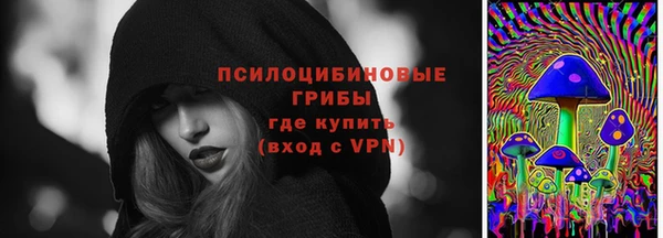 гашик Баксан