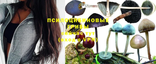 гашик Баксан